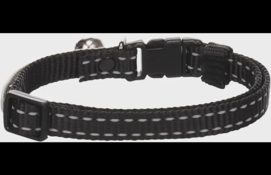 Halsband Jaggo Zwart