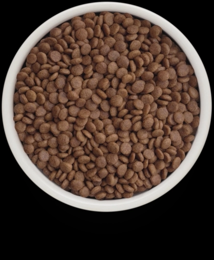 GF-Cat - Fresh Lamb - Adult - 400g