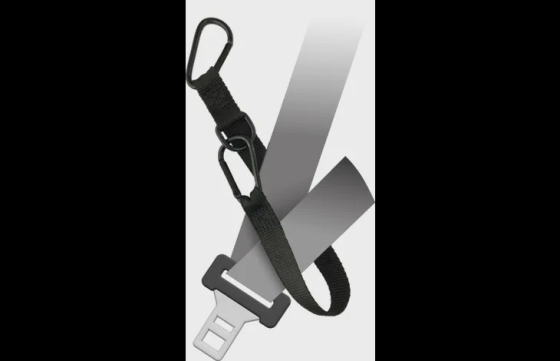 Verbindingsstuk voor autogordel Darrel Zwart Small