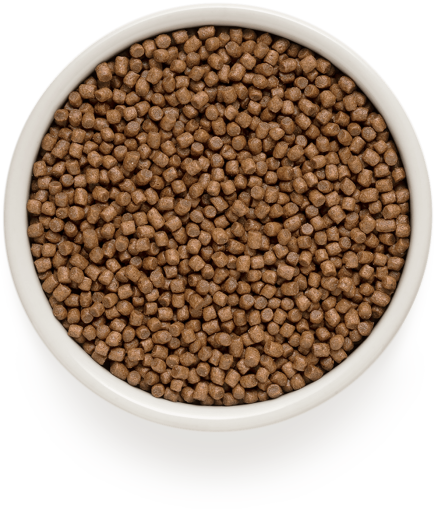 GD-Cat - Lamb & Turkey - Kitten - 400g