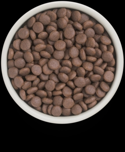 GF-Dog - Fresh Duck - Adult Medium & Maxi Breeds - 3 Kg