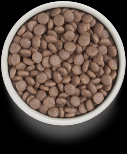 GD-Dog - White Fish - Adult Medium & Maxi Breeds - 10 Kg