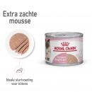 RC Mother & Babycat Mousse 195g