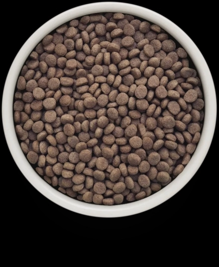 GV-Cat - Turkey - Hepatic - 400g