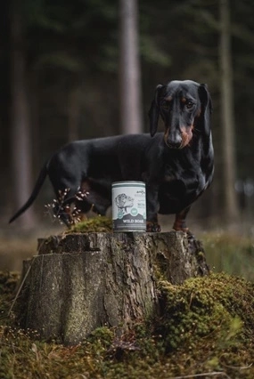 Riverwood Mono Proteine Wild Boar 400 gr