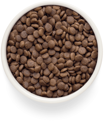 GF-Cat - Fresh Lamb - Adult Large - 400g