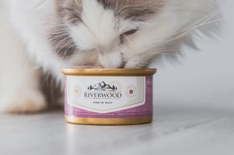 Riverwood Caviar for cats -  Tonijn in gelei 85g