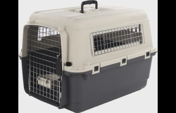 Transportkooi Nomad Grijs M 53X67X47Cm