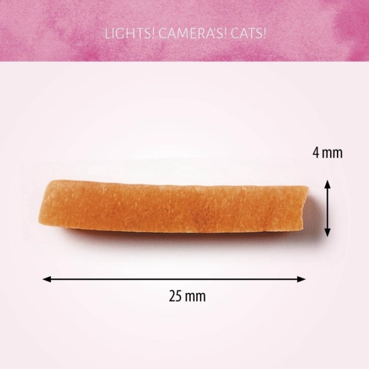 Cat Treats Flaked Witvis 50g