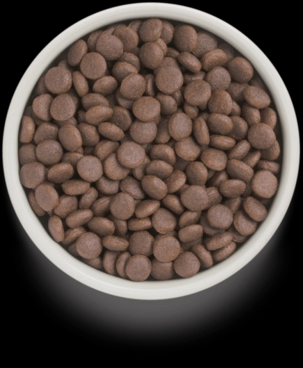 GD-Dog - Turkey - Adult Medium & Maxi Breeds - 10 Kg