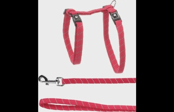 Harnas met looplijn Elza Koraalrood 22/32 x 27/48 x 110