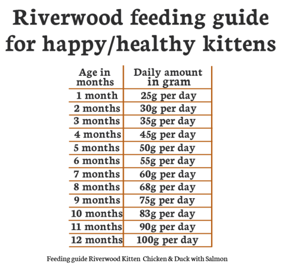 Riverwood Kitten Kip & Eend met Zalm 2kg