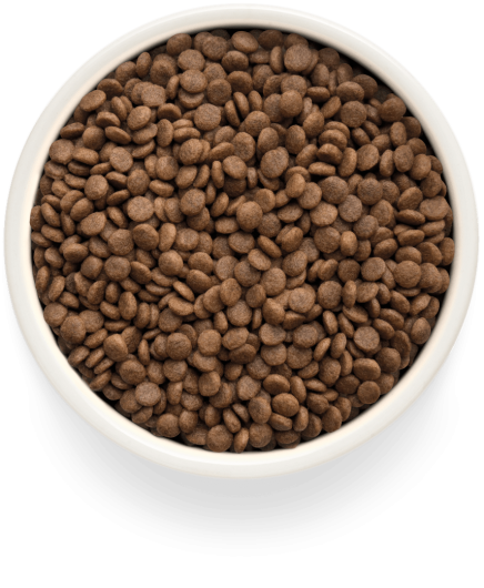 GF-Cat - Fresh Duck - Adult Sterilized - 400g