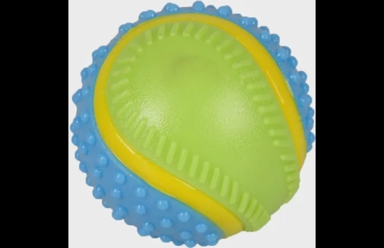 Speelgoed Abta Bal 5 Senses met rundsmaak