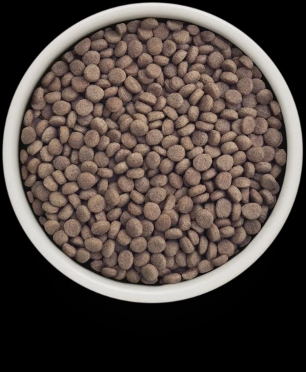 GV-Cat - Rabbit - Hypoallergenic - 400G