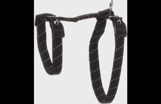 Harnas met looplijn Grote katten Elza Zwart