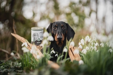 Riverwood Mono Proteine Goat 400 gr