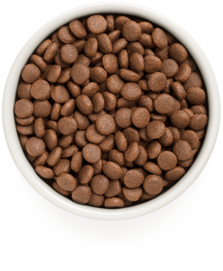 GD-Dog - Duck & Turkey - Adult Medium & Maxi Breeds  - 3 Kg