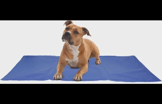 Koelmat Fresk Rechthoekig Blauw XXL