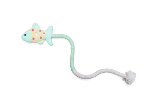 BZ Kitten Vis met Touw Roxy