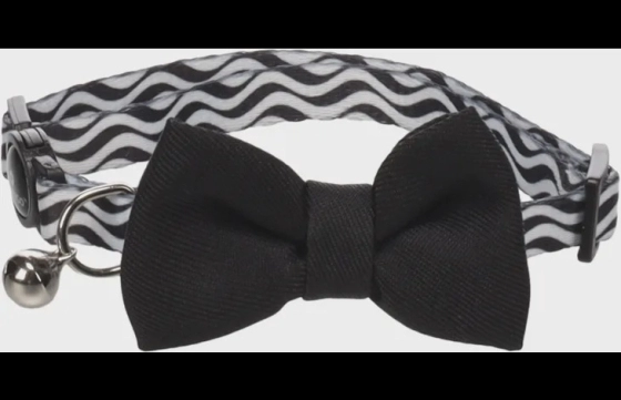 Halsband met strik Kamil Zwart