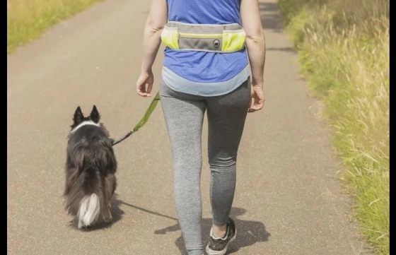 JOGGINGLIJN + HEUPRIEM RONO GEEL LIJN 155-250CM / RIEM 79,5-140CM