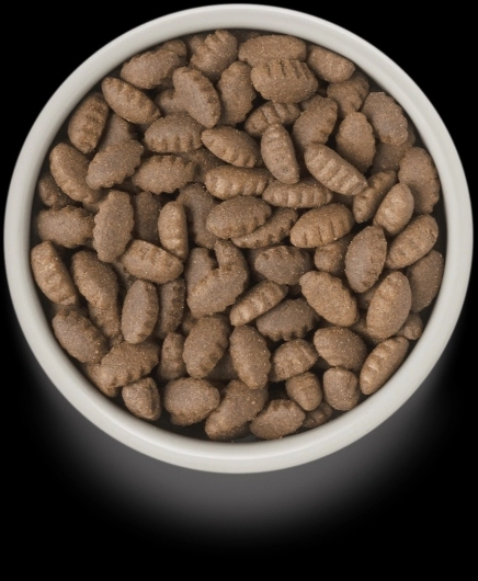 GD-Dog - Turkey - Adult Maxi Breeds - 10 Kg