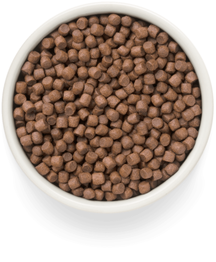 GF-Dog - Fresh Duck - Adult Mini Breeds - 1 Kg