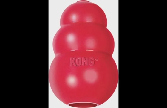 KONG TOY LARGE ROOD