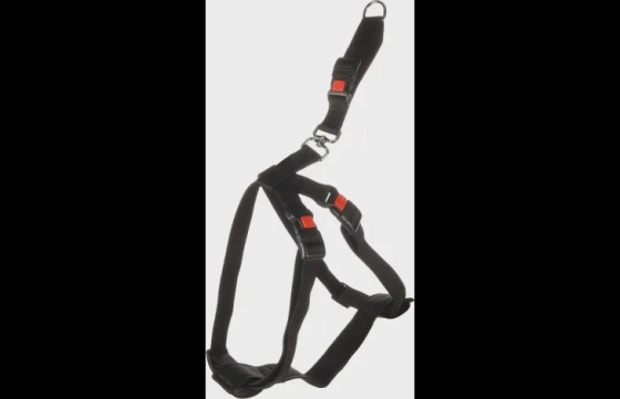 Autoveiligheidsharnas Duma Zwart XL