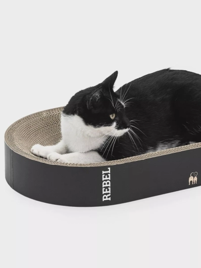 Petrebels Krabkarton Kat - Oliver 61 - Zwart