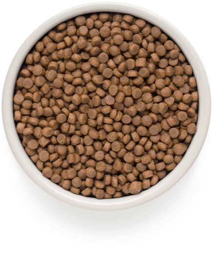 GD-Cat - 4 Meat - Adult Sterilized - 2 Kg