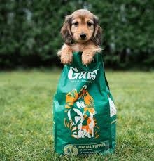 Chicken & Insect Puppy 2kg