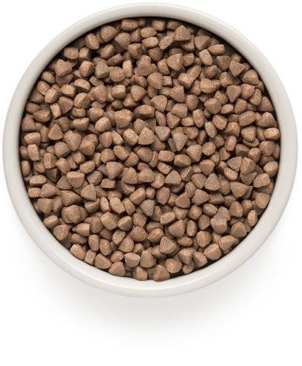 GD-Cat - White Fish - Adult Skin&Care - 400g