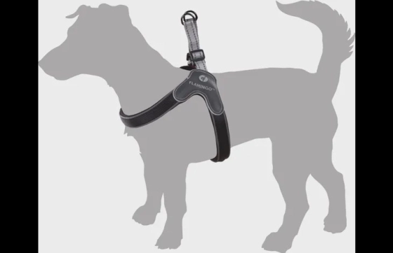 Harnas Easy Hilka Zwart