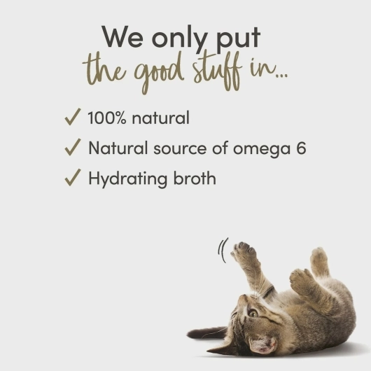 Applaws CAT CANS Chicken Breast & Cheese 70 gr.