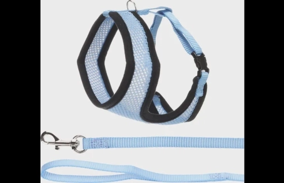 Harnas met looplijn Harms Blauw 32x36/48x110cm