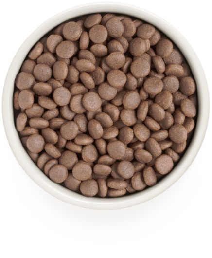 GD-Dog - White Fish - Adult Medium & Maxi Breeds - 3 Kg