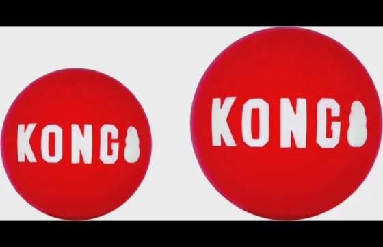 Kong® Speelgoed Signature Bal Rood Large