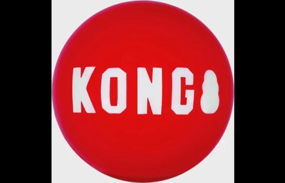 Kong® Speelgoed Signature Bal Rood Large