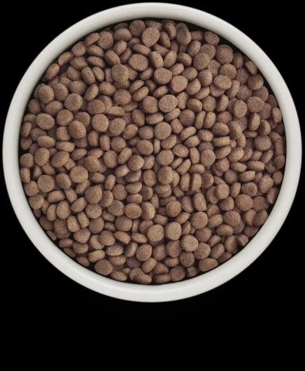 GV-Cat - Turkey - Gastrointestinal - 400g