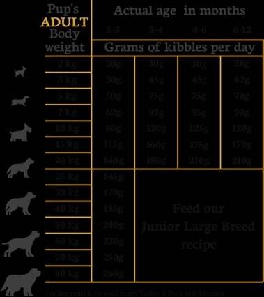 Riverwood Puppy Turkey 12 kg