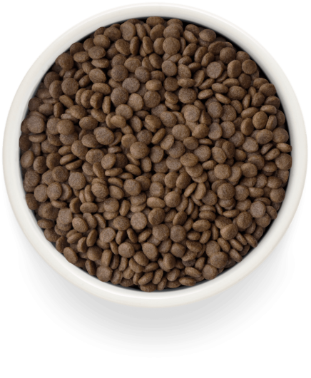 GF-Cat - Fresh Lamb - Adult Sterilized - 400g