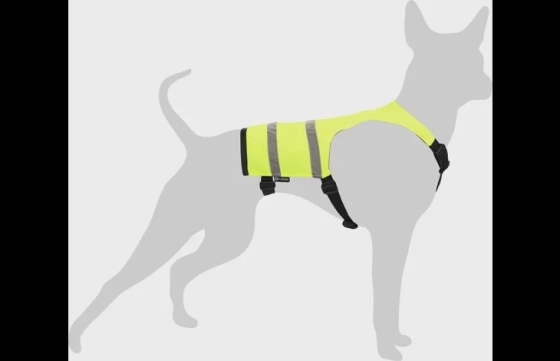 HONDENVEST FLUO 24 CM - HOND 34 CM