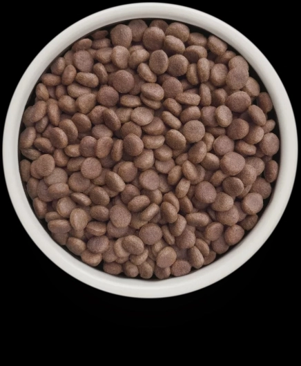 GV-Dog - Turkey - Gastrointestinal - 1KG