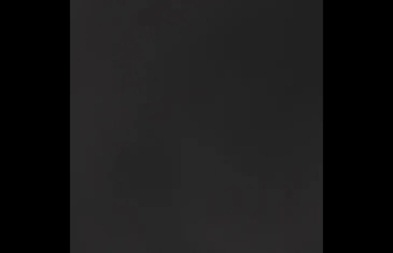 Regenjas Toto Zwart 30cm