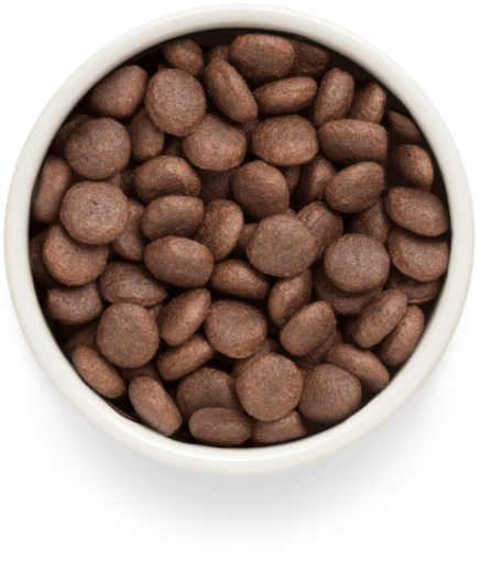 GF-Dog - Fresh Lamb -  Adult Maxi Breeds - 3 Kg