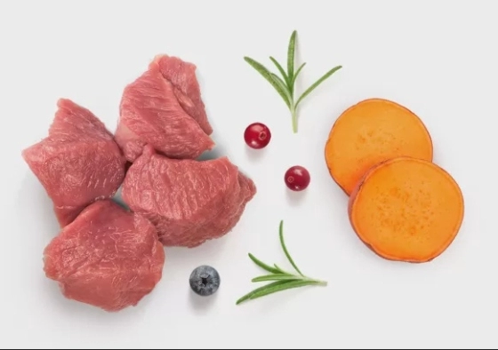 GF-Cat - Fresh Lamb - Adult Sterilized - 2Kg