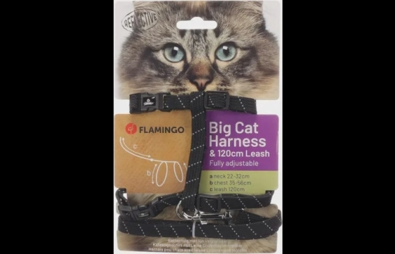 Harnas met looplijn Grote katten Elza Zwart