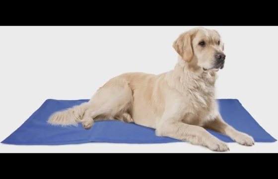 Koelmat Frosty Rechthoekig Blauw XL